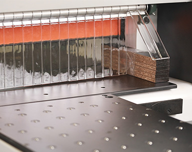 تصميم الحرس